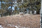 004_2009-0214-1350-28.jpg